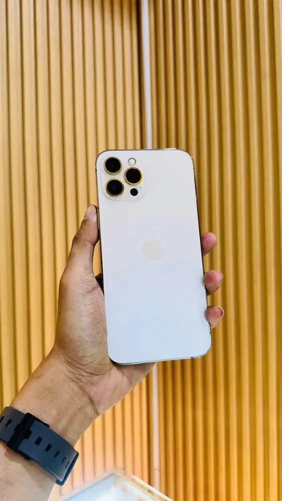 iPhone 12 Pro Max 256 GB