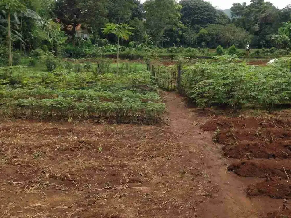 Dijual Lahan Luas dan Strategis di Ciampea, Bogor. Harga dibawah pasaran.