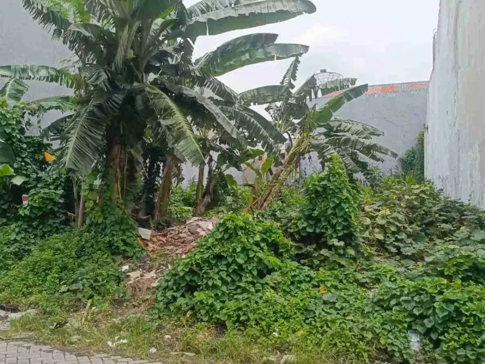 Dijual Tanah Kotak Lebak Arum