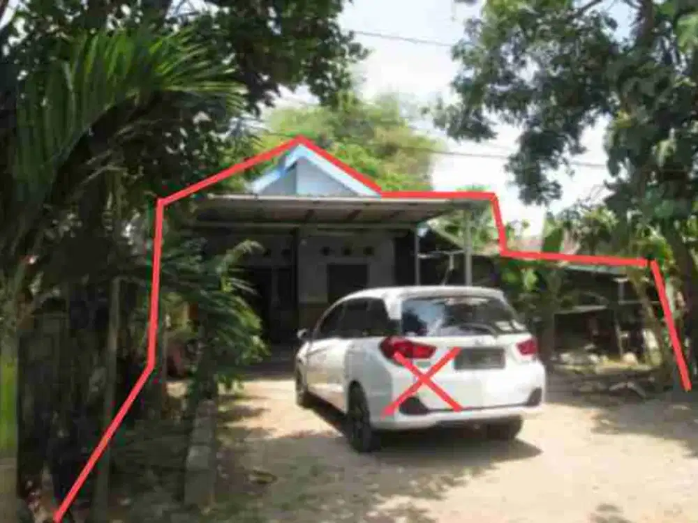 DI JUAL RUMAH 
KEL. : DENGOK
KEC. : PADANGAN
KAB  : BOJONEGORO