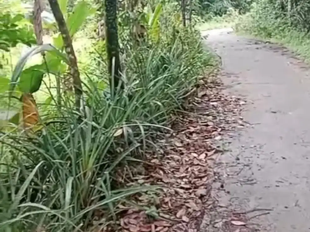 Jual tanah murah di Rumpin