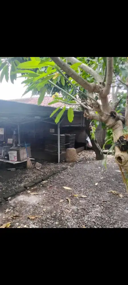 Dijual tanah murah,2 are di panjer dekat renon denpasar bali