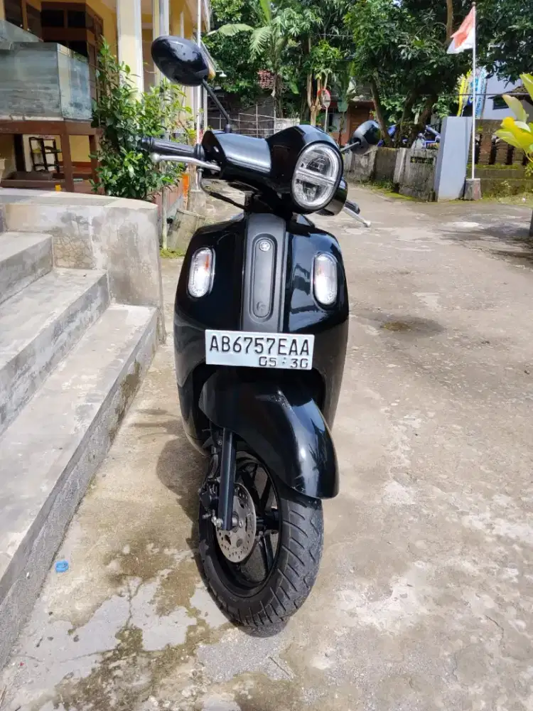 fazzio 125 tahun 2025