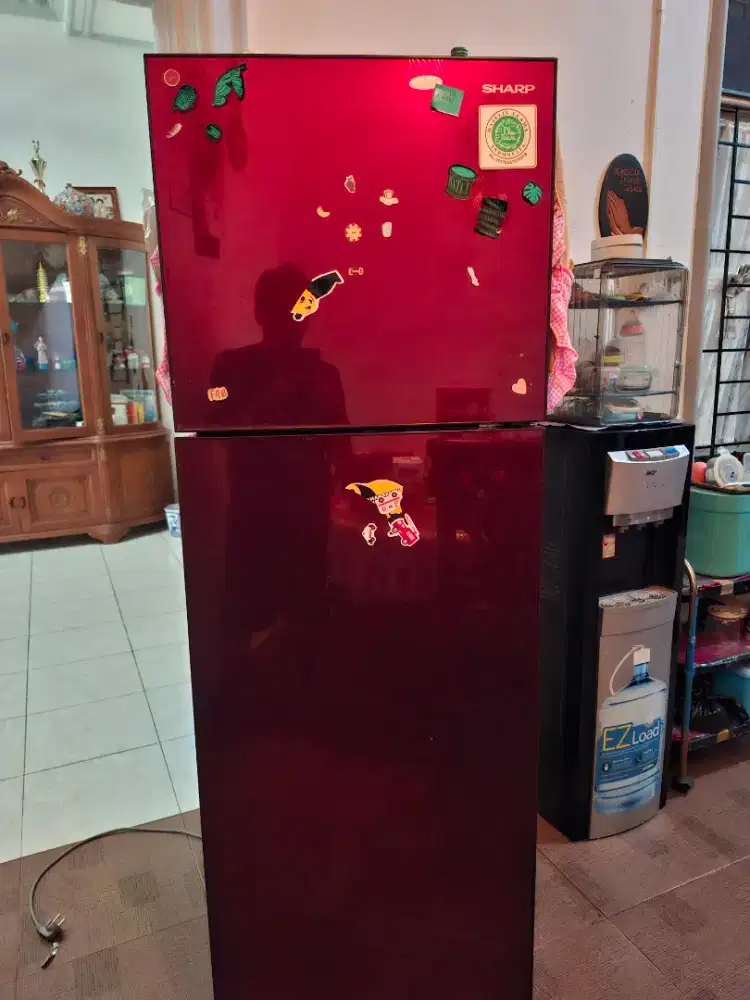 Kulkas sharp 2 pintu