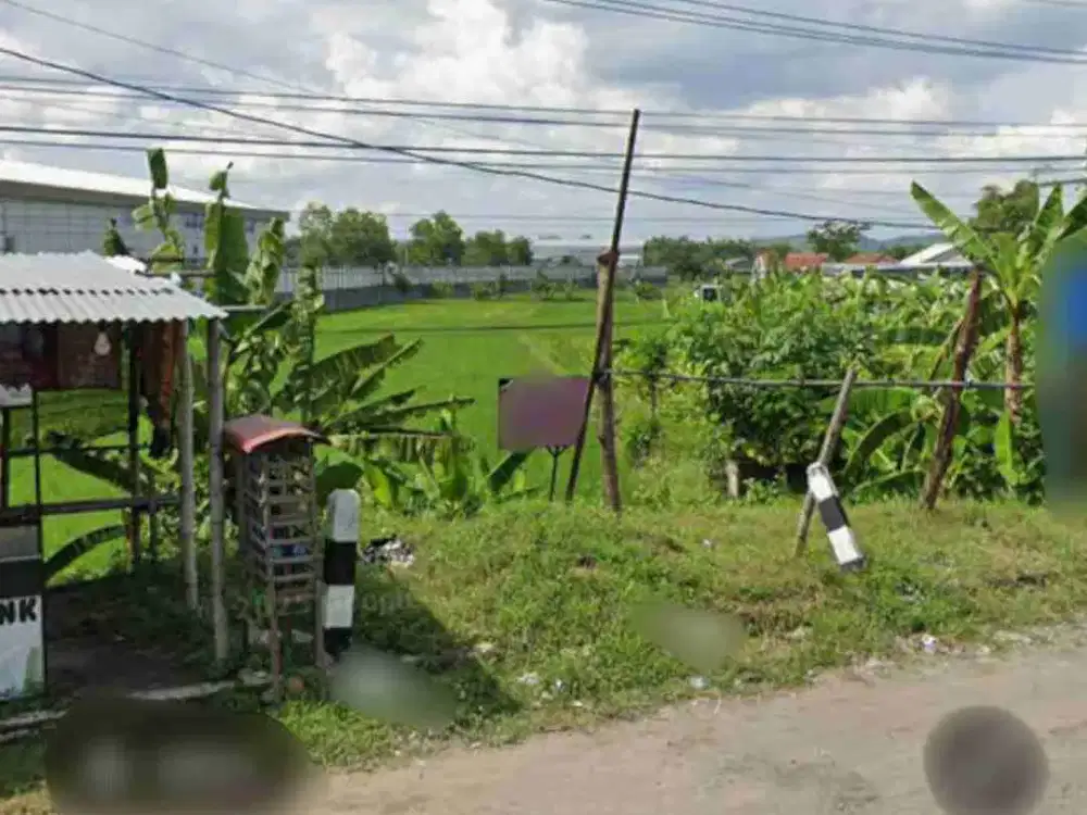 0312,117 Dijual Tanah By Lelang Di Raya Gledek-Ploso Jombang Di Kudu