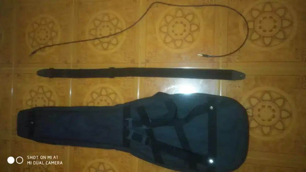 Tass bass / softcase