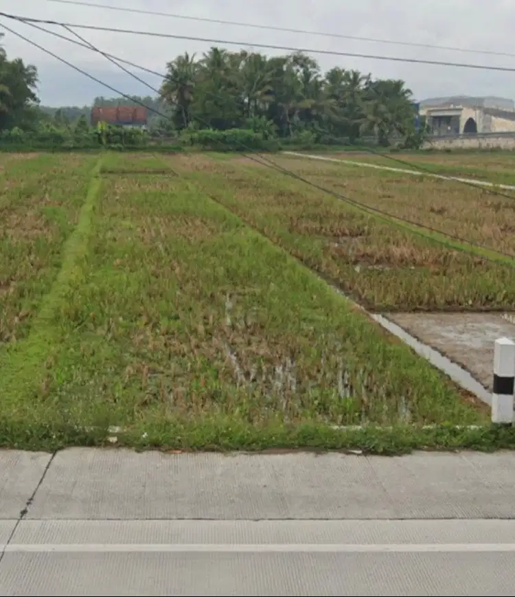 Di JUAL Tanah Sawah Produktif