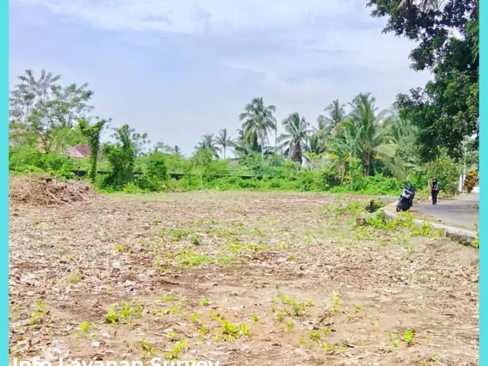 Tanah Mangku Jl Aspal Cocok Hunian Area Jl Palagan Jogja