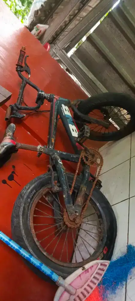 Sepeda anak usia 5-10 tahun