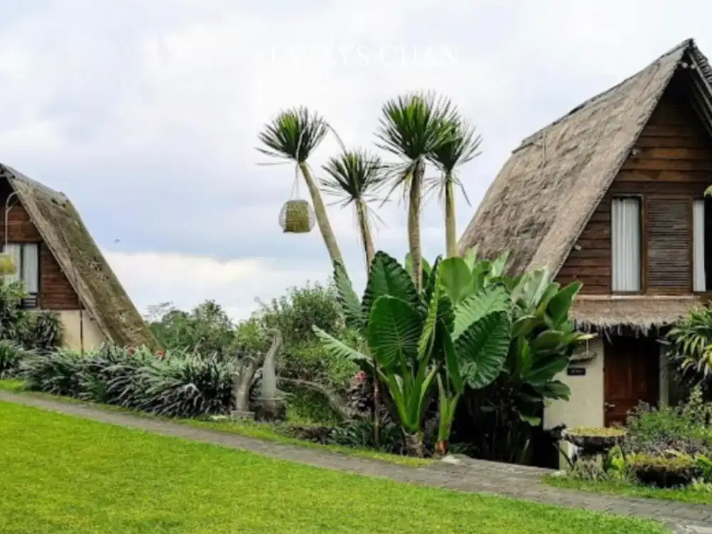 Hotel dengan Pemandangan Sawah Dijual Lokasi Bedugul