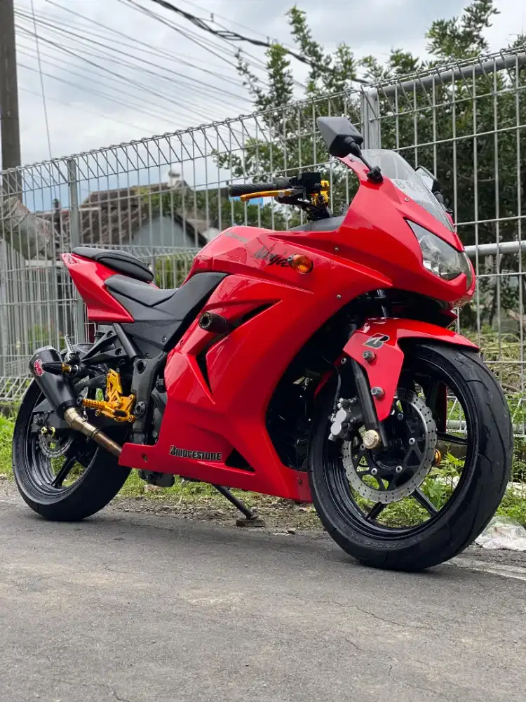 Kawasaki Ninja 250R 2010