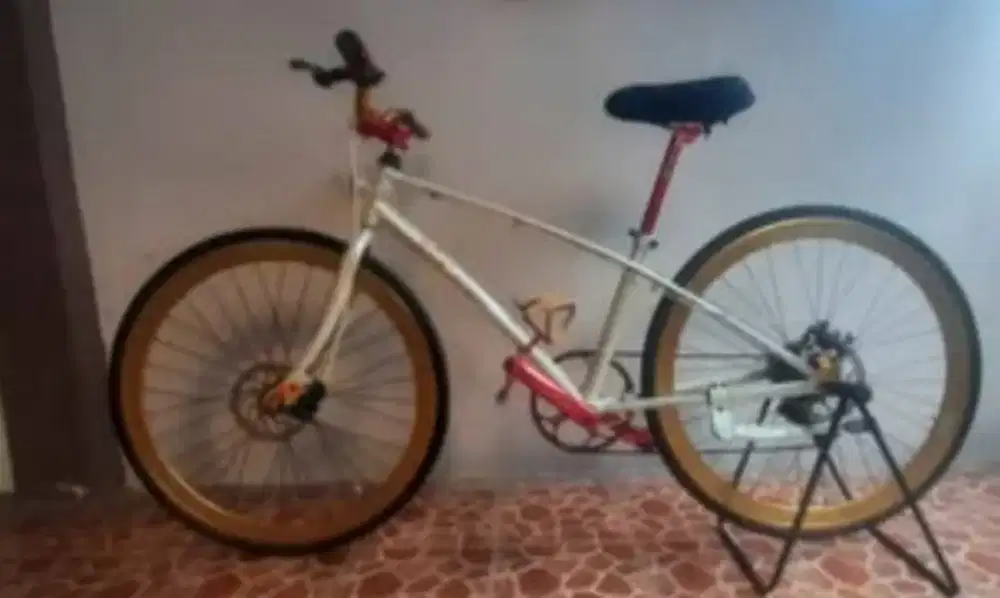 Sepeda Mixte second