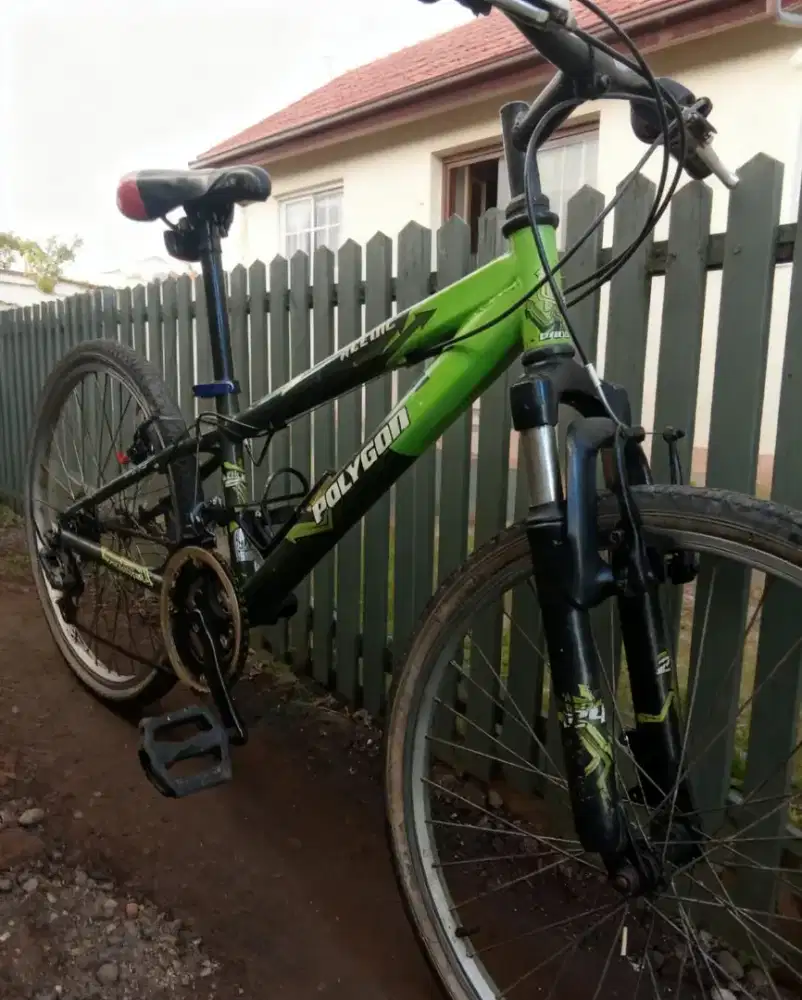 Speda gunung Polygon recoil ban 24