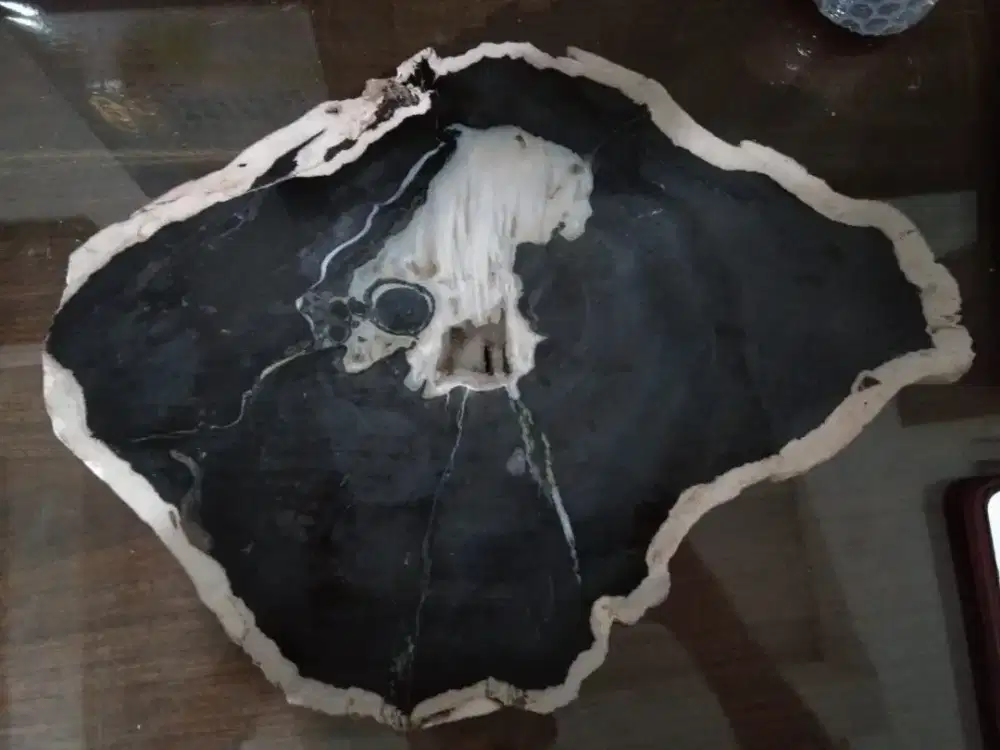 Jual murah hiasan batu fosil