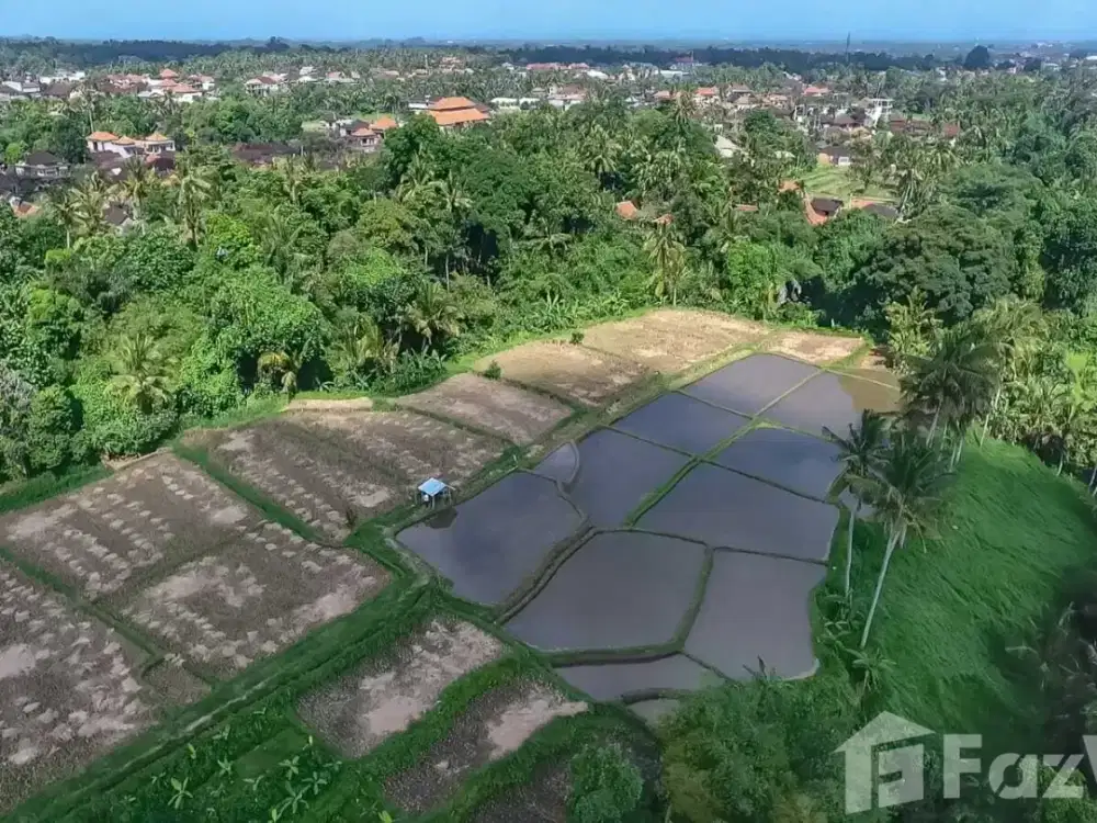 Land for sale in Ubud, Bali