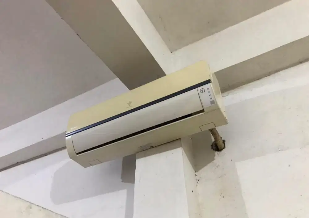 AC sharp 1 PK second