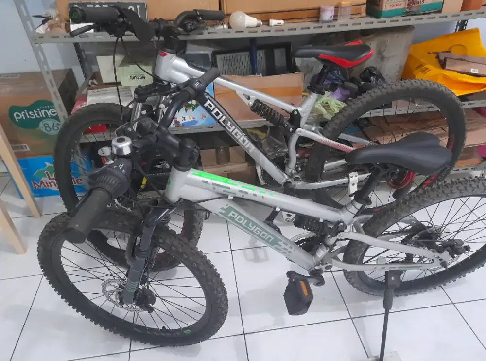 Sepeda polygon ( 2 item )