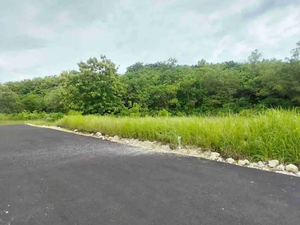 dijual tanah 15 are IDR 450 juta per are dekat poltekpar Bali STP nusa dua