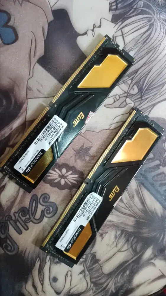 RAM Elite 16 GB (2 x 8 GB)