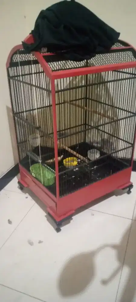 Sangkar burung bekas