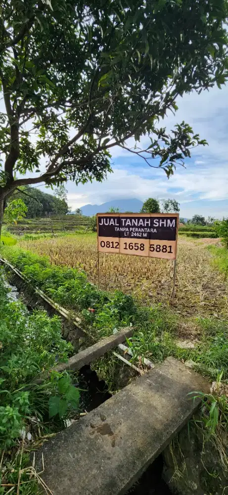 Dijual Tanah Sawah Aktif