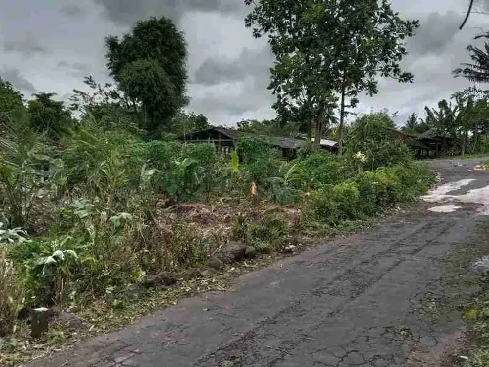 tanah murah diutara uii atau barat pasar pakem jl kaliurang km 16