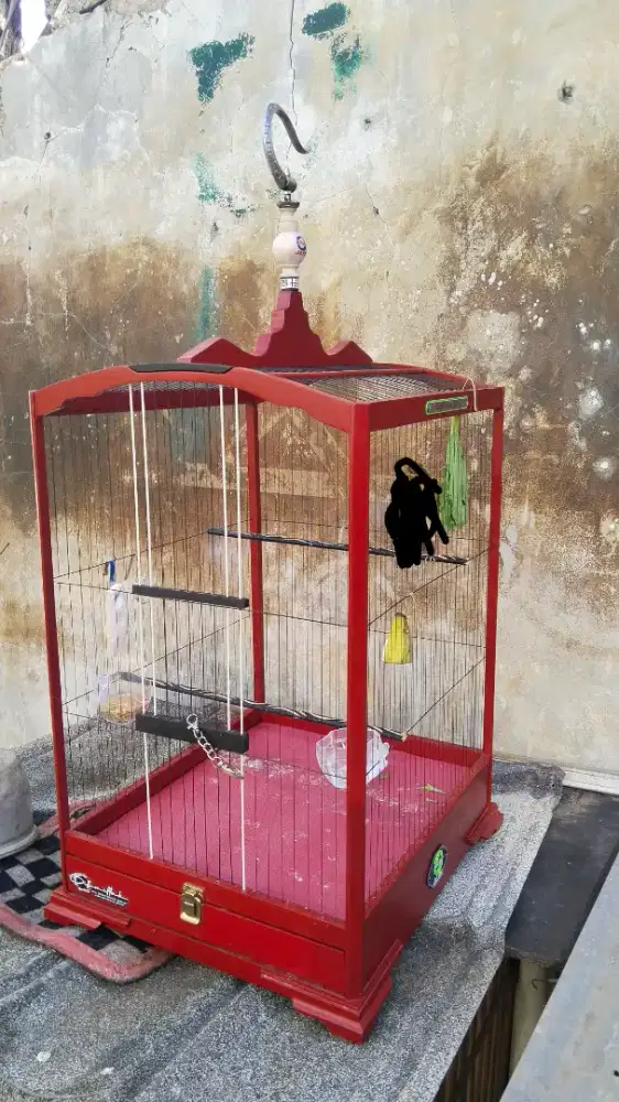 Edisi mw mudik jual aj kandang burung ruji senar no 2 fulset mulus.