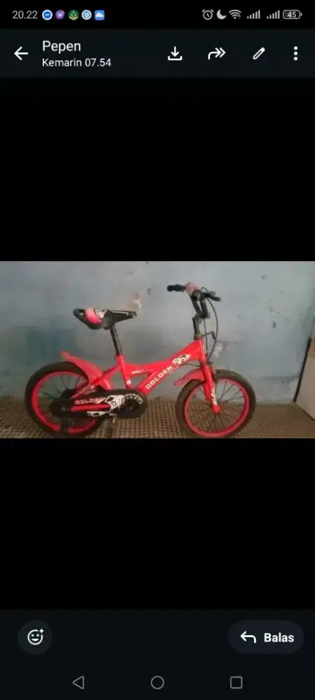 Jual sepedah anak cantik