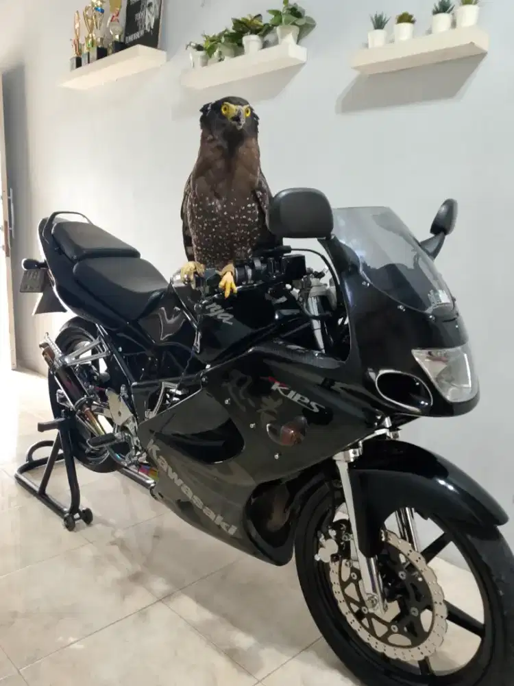 Kawasaki ninja rr old 2011