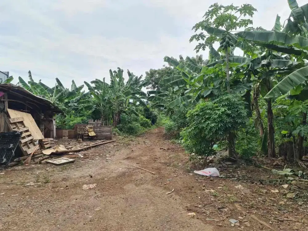 Jual Tanah Zona Industri Jalan Raya Jakarta Bogor Kelurahan Pekayon Pasar Rebo Jual Tanah Pasar Rebo Lokasi bagus