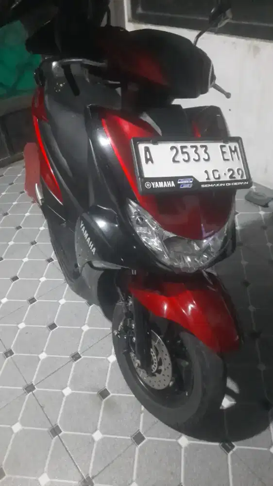 Frego thun 2019 pajak hidup