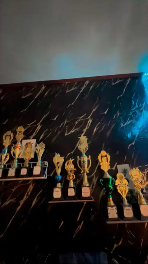 Rak dinding kayu + besi