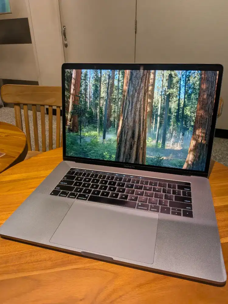MacBook Pro 15-inch 2018 | i7 / 16GB / Radeon Pro | Baterai Awet!