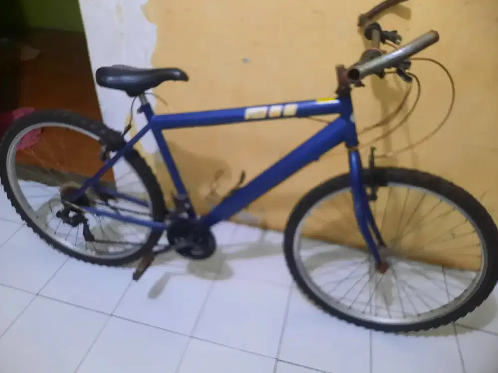 Ukuran 26 tinggl goes