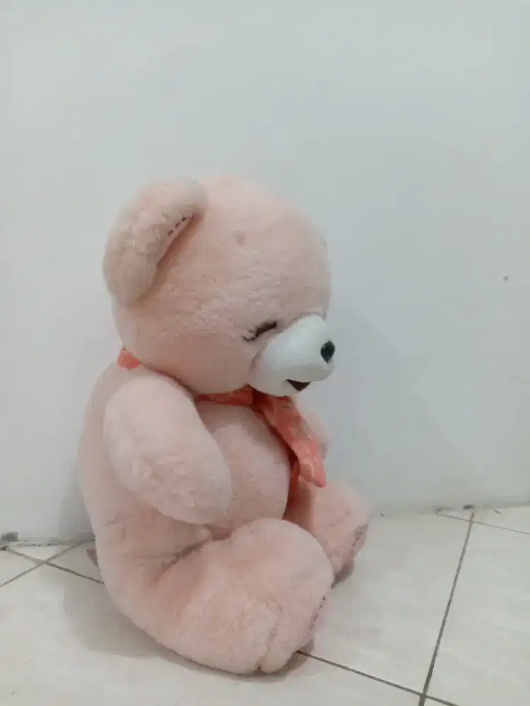 Boneka beruang pink kecil Dan imut