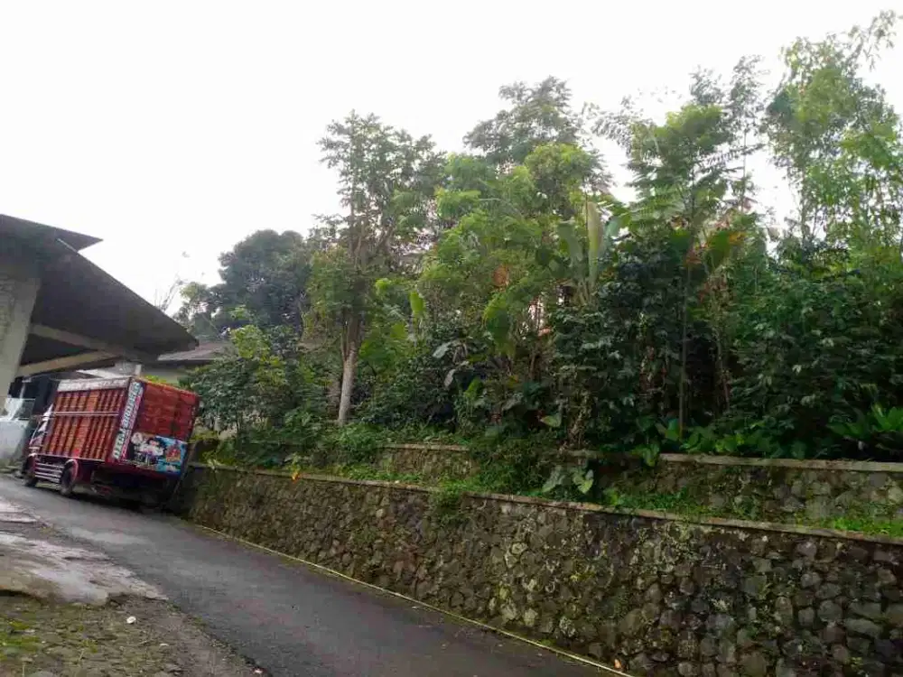 tanah darat kebun