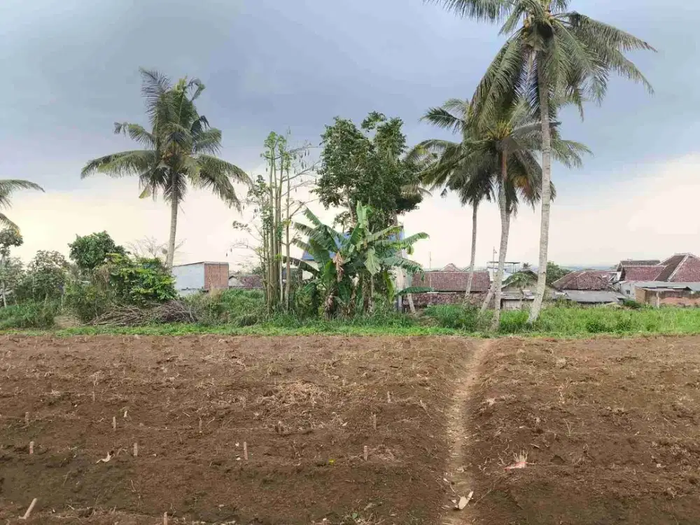 Tanah Temboro Cemorokandang Malang