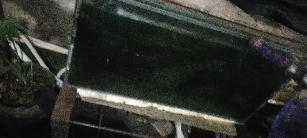 Jual quarium sama isi