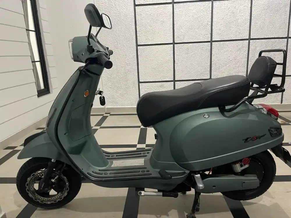 Motor Listrik Winfly T30S