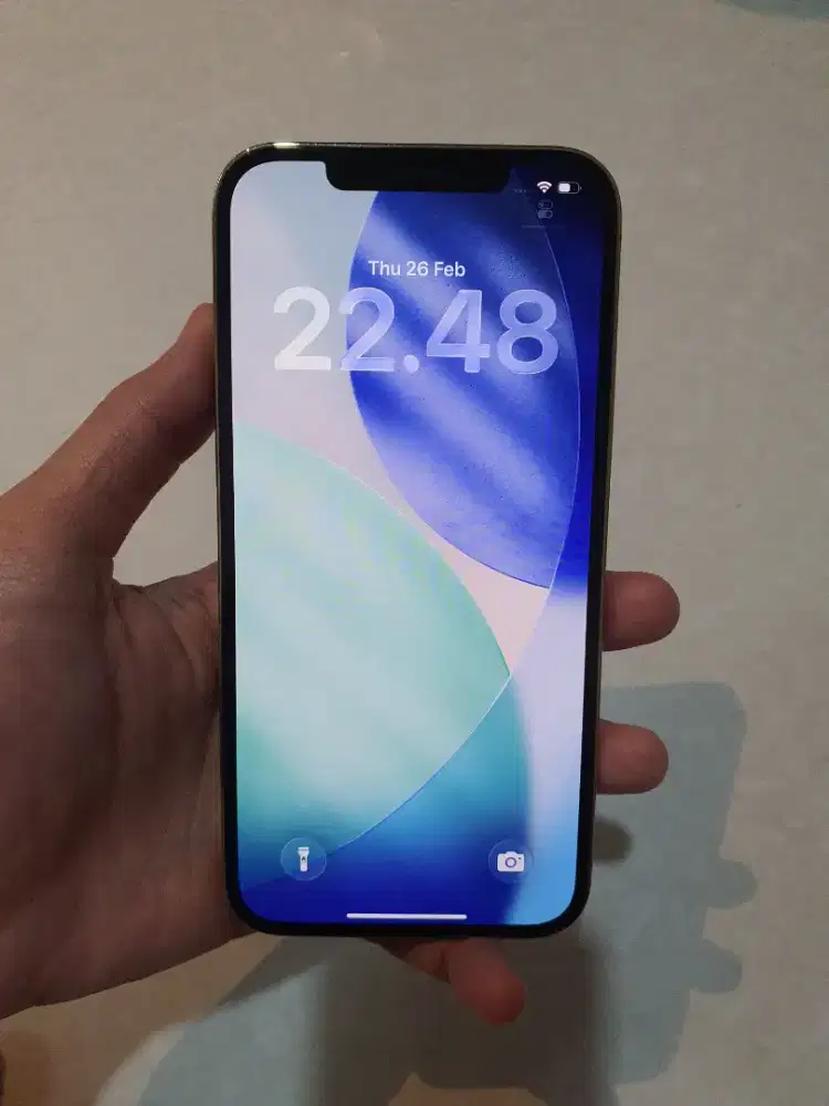 iPhone 12 ProMax 256Gb - Gold Ex.iBox