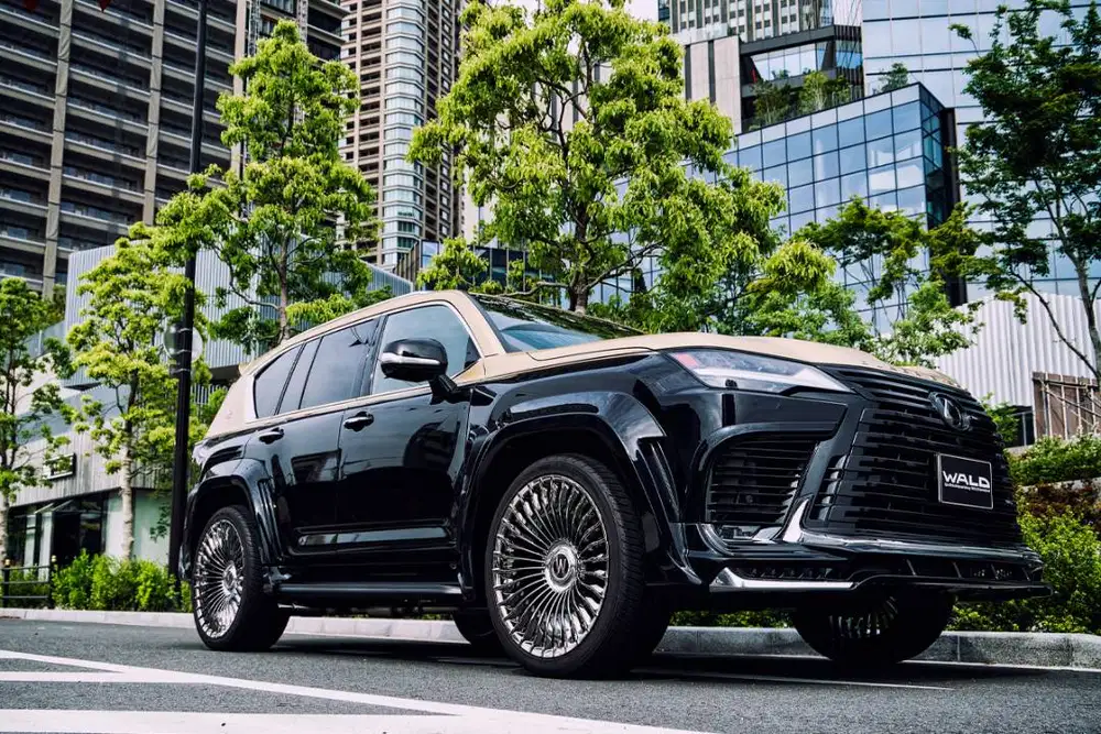 Wald Renovatio II R22 & R24