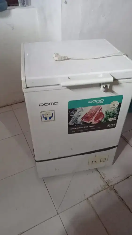 Frizer box kapasitas 100liter merek Domo