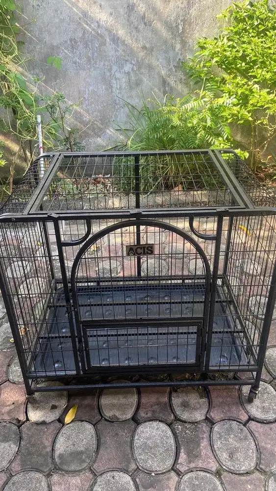 Kandang kucing hewan lainnya