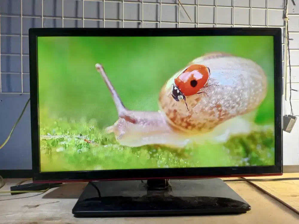 Tv led 24 inc analog murah meriah