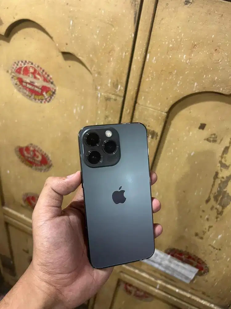 iPhone 13 Pro 256