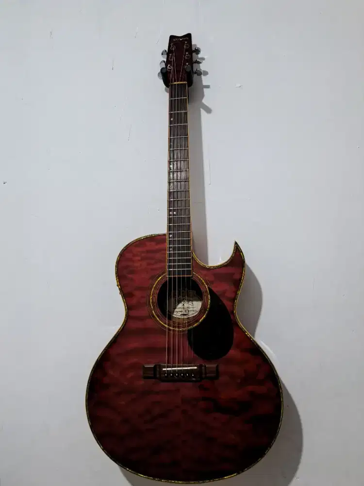 Bismillah jual Gitar Washburn