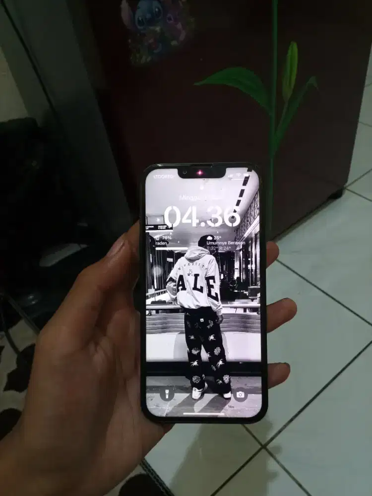 iPhone 13 128gb inter all operator