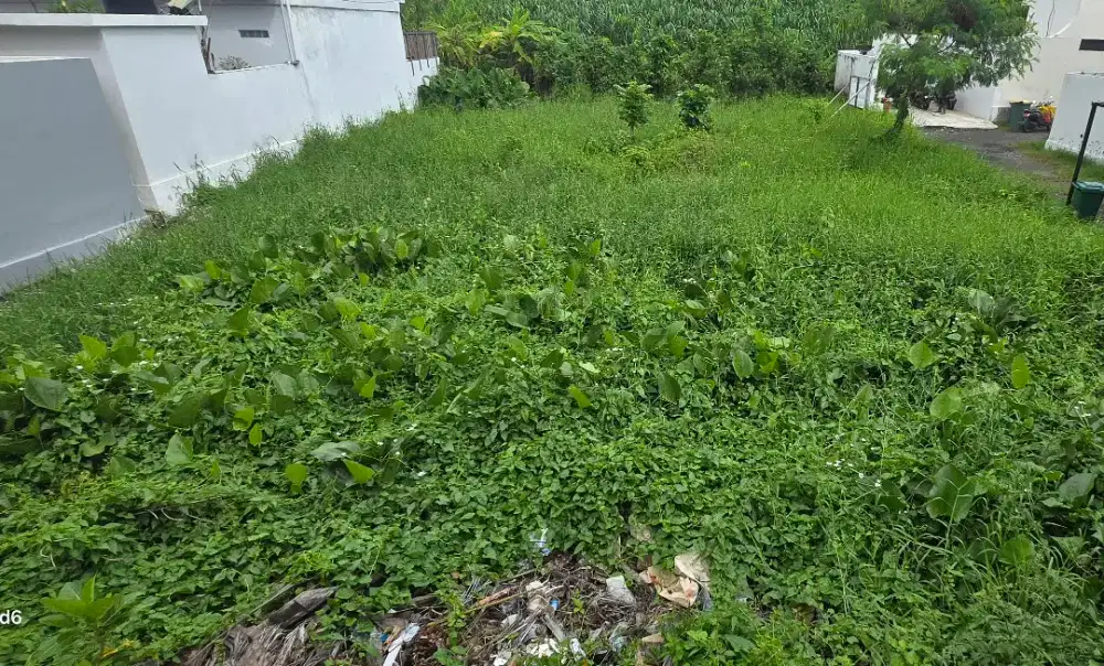 Land for sale size 538meter can take 250m