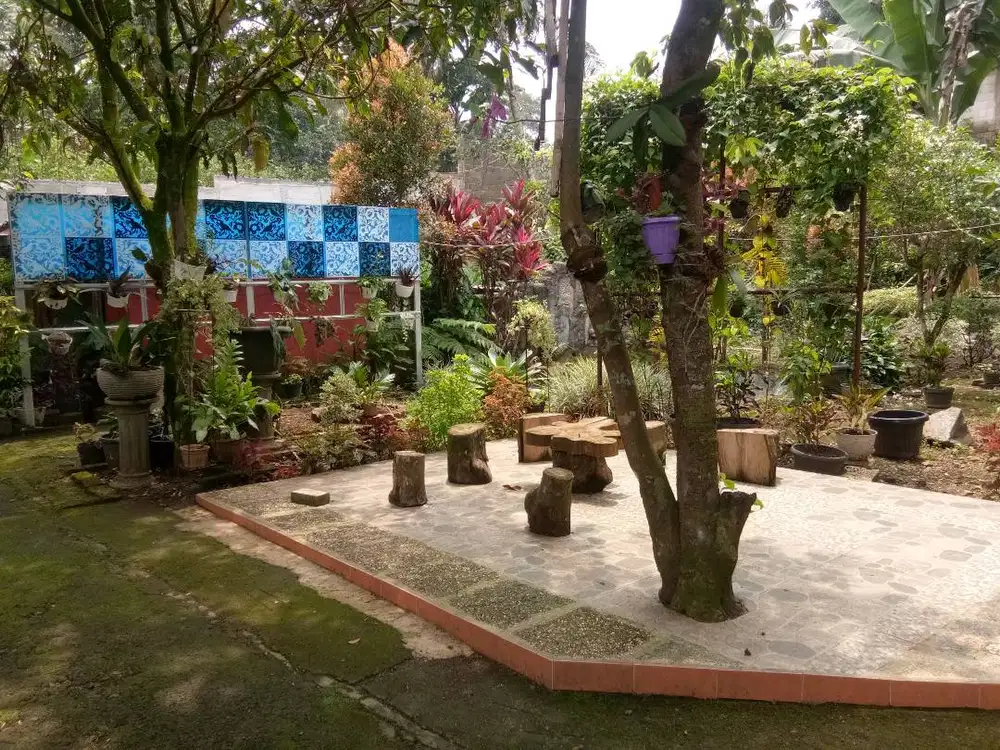 Dijual Tanah dan Kolam Ikan