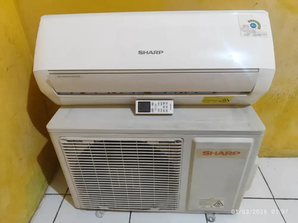 Ac sharp 1/2 pk ucy